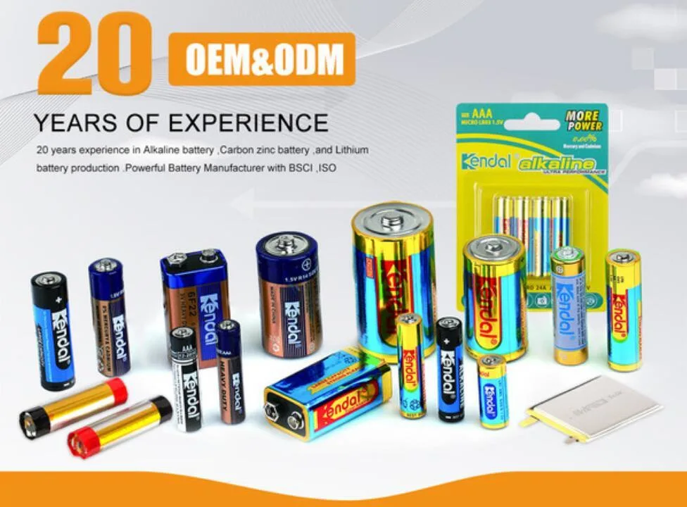 380 Mins Duration AA Alkaline Batteries