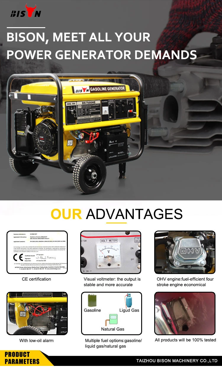 Bison Manual Start10kVA 5kVA 3kVA One Phase Portable Gasoline Generator