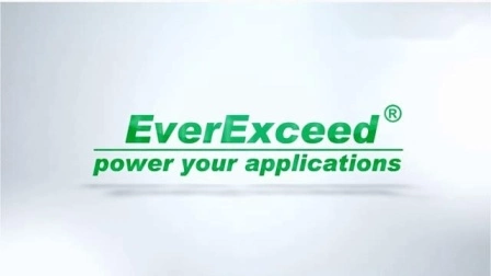 Everexceed 高性能バッテリー 72V 30Ah ホイールトラクションバッテリー