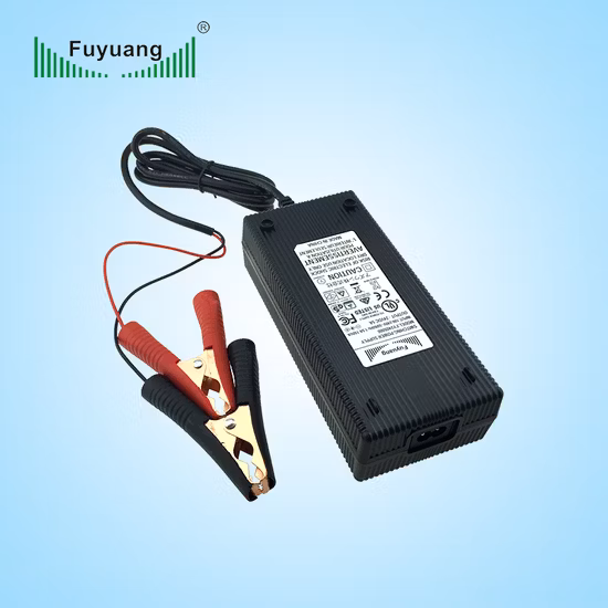 LiFePO4 58.4V 3.5A 電気自動車バッテリー充電器